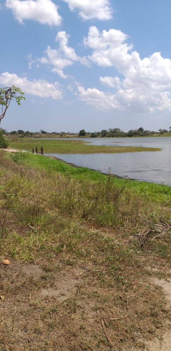 Lake shoreline and natural landscape